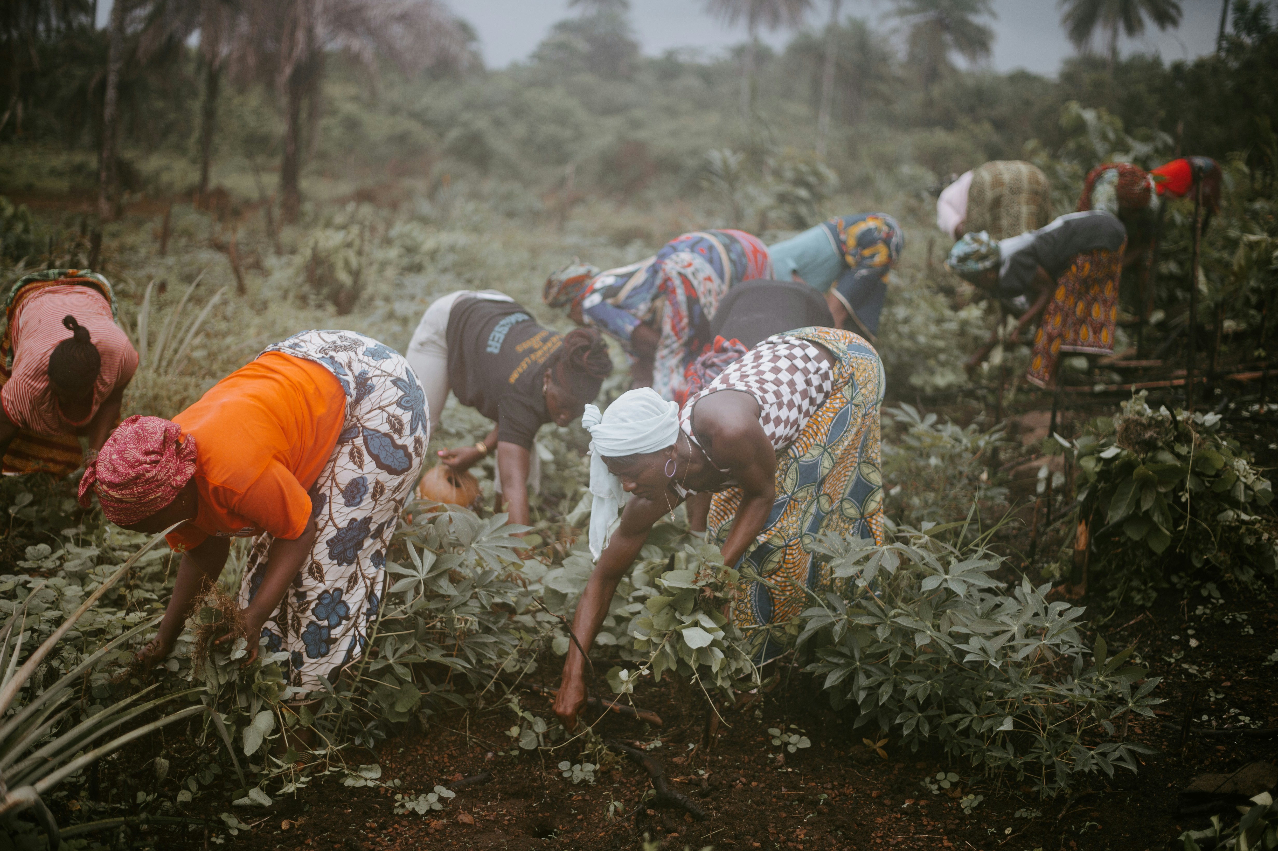 Climate Resilience Projects
